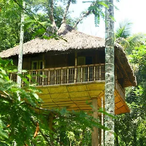 Kalidasa Tree House And Villa